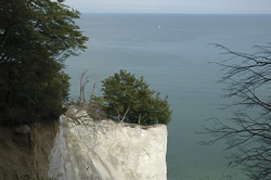 Kreidefelsen auf der Insel Møn