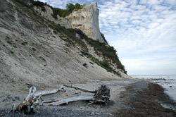 Møn Kreidefelsen Treibgut