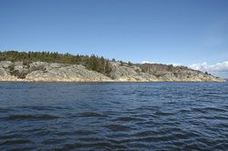  Gullmarsfjord