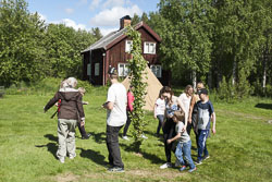 Moskosel Midsommar