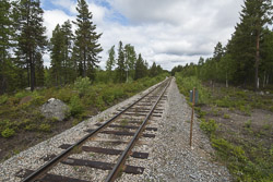 Vilhelmina Norra Gleise