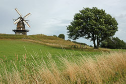 Windmühle in Schonen